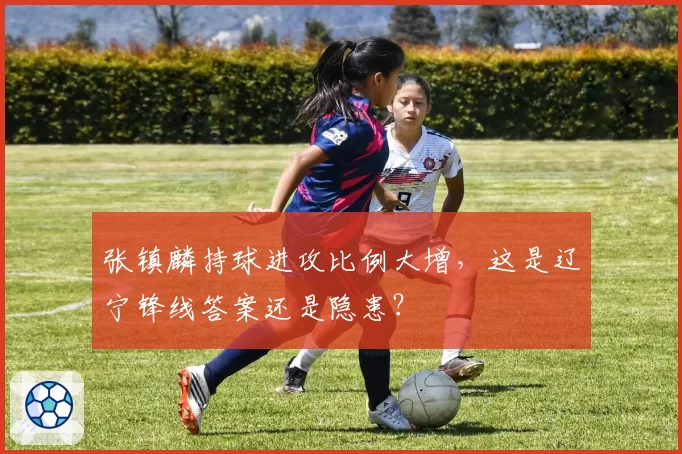 张镇麟持球进攻比例大增,这是辽宁锋线答案还是隐患?