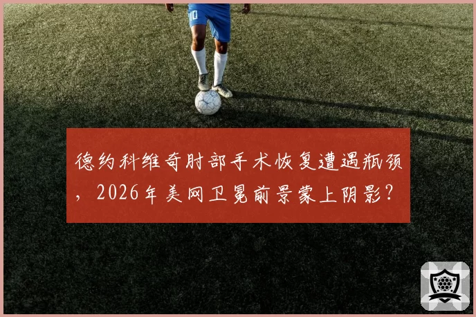 德约科维奇肘部手术恢复遭遇瓶颈,2026年美网卫冕前景蒙上阴影?