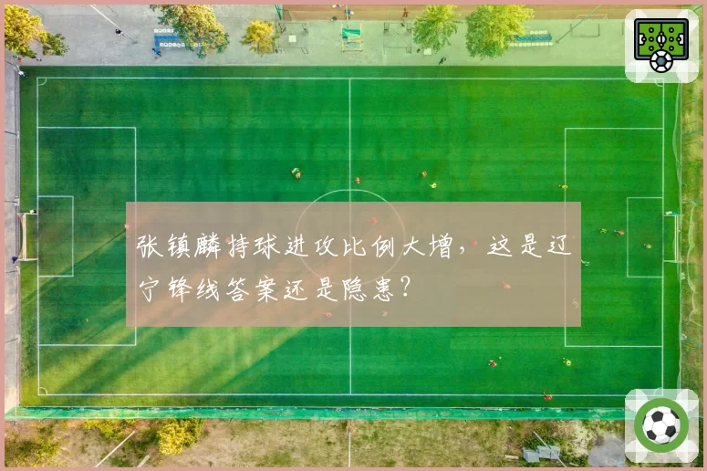 张镇麟持球进攻比例大增,这是辽宁锋线答案还是隐患?