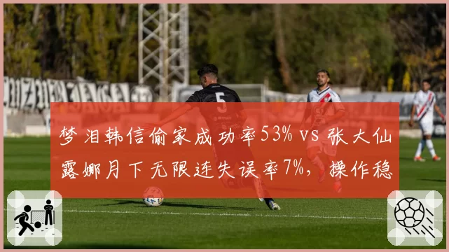 梦泪韩信偷家成功率53% vs 张大仙露娜月下无限连失误率7%，操作稳定性对比