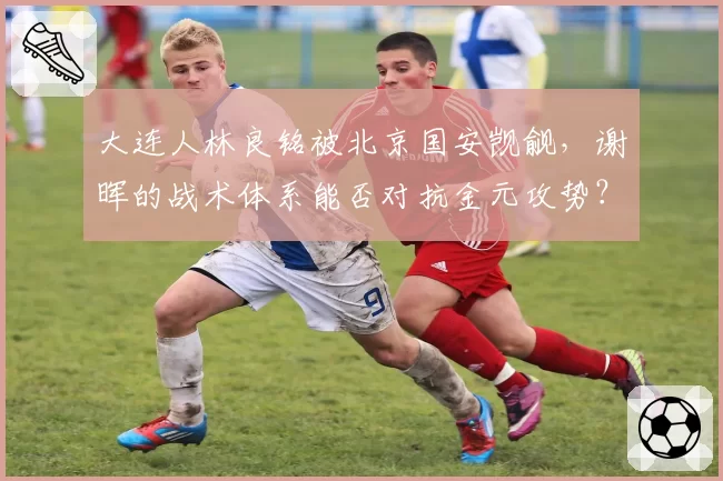 大连人林良铭被北京国安觊觎,谢晖的战术体系能否对抗金元攻势?